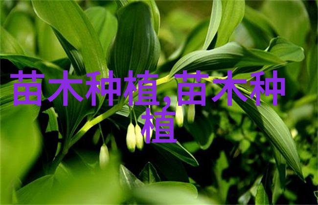 详解花木苗圃基地管理办法制度与实践指南